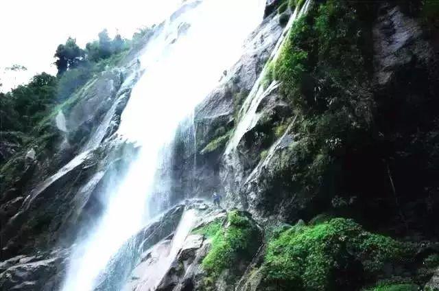 拯救米乐米可