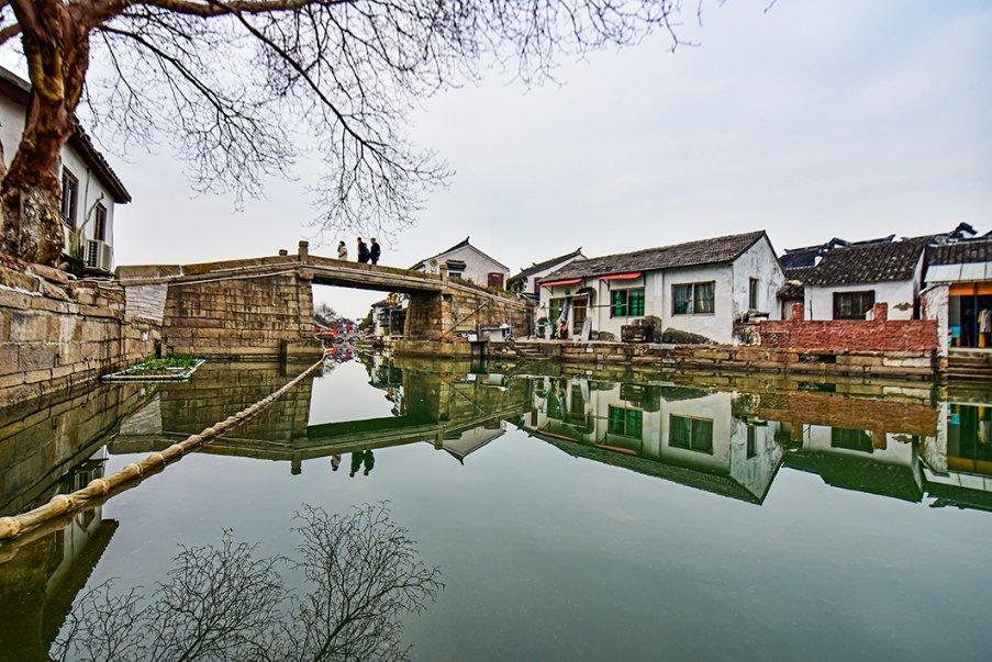 营救小乌龟